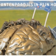 zomerkaart 2013