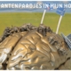 zomerkaart 2013
